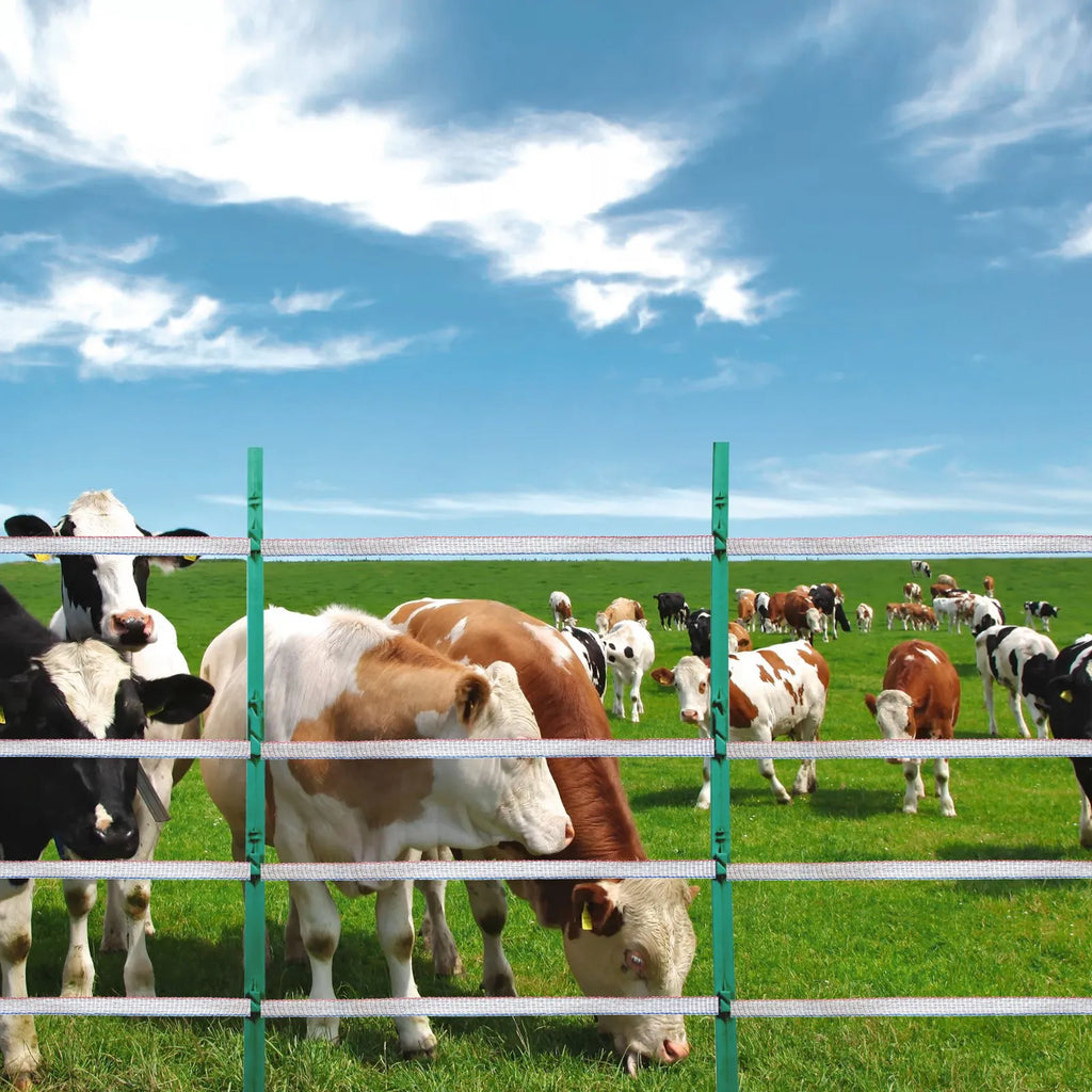 1640Ft 500M Electric Fence Tape Fencing Polytape Horse Cattle Livestock