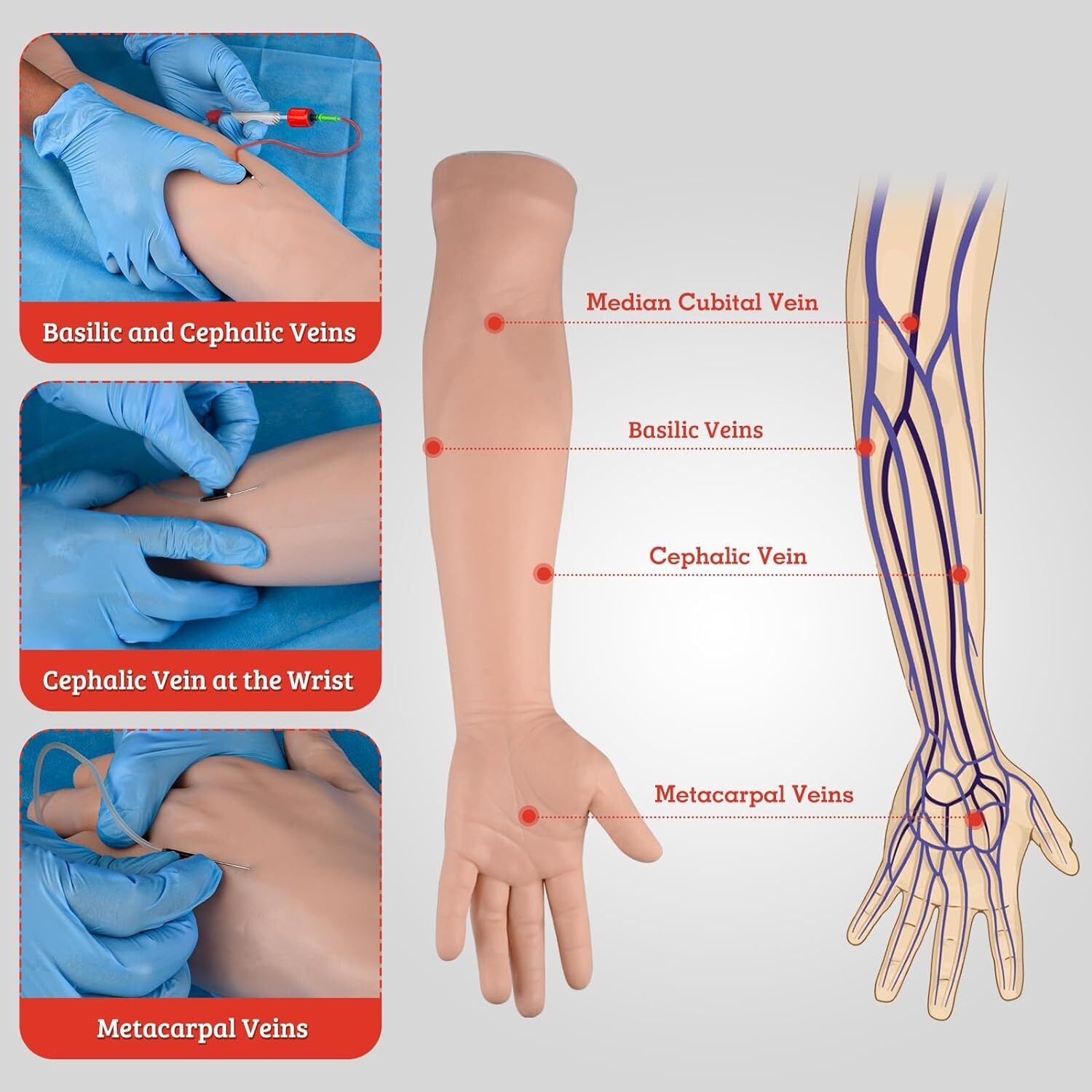 Intravenous Practice Arm Kit High Simulation Blood Drawing Practice Model Kit