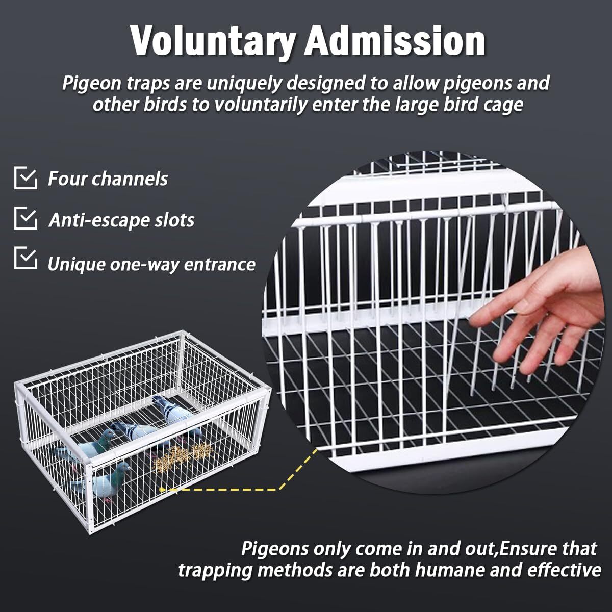 Birds Cage Small Animals Catch Trap Four Sides One Way Entrance Anti-Escape Slot