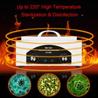 2L Medical Autoclave Dry Heat Sterilizer Tattoo Tools Disinfection Machine 220V