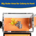 Ant Nest Ant House for ant Farm for Adults Study of Ant Behavior Ant Terrarium
