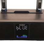 Bluetooth Karaoke Speaker & 2 Wireless Microphones Rechargeable Karaoke Machine