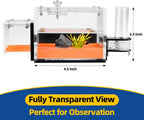 Ant Nest Ant House for ant Farm for Adults Study of Ant Behavior Ant Terrarium