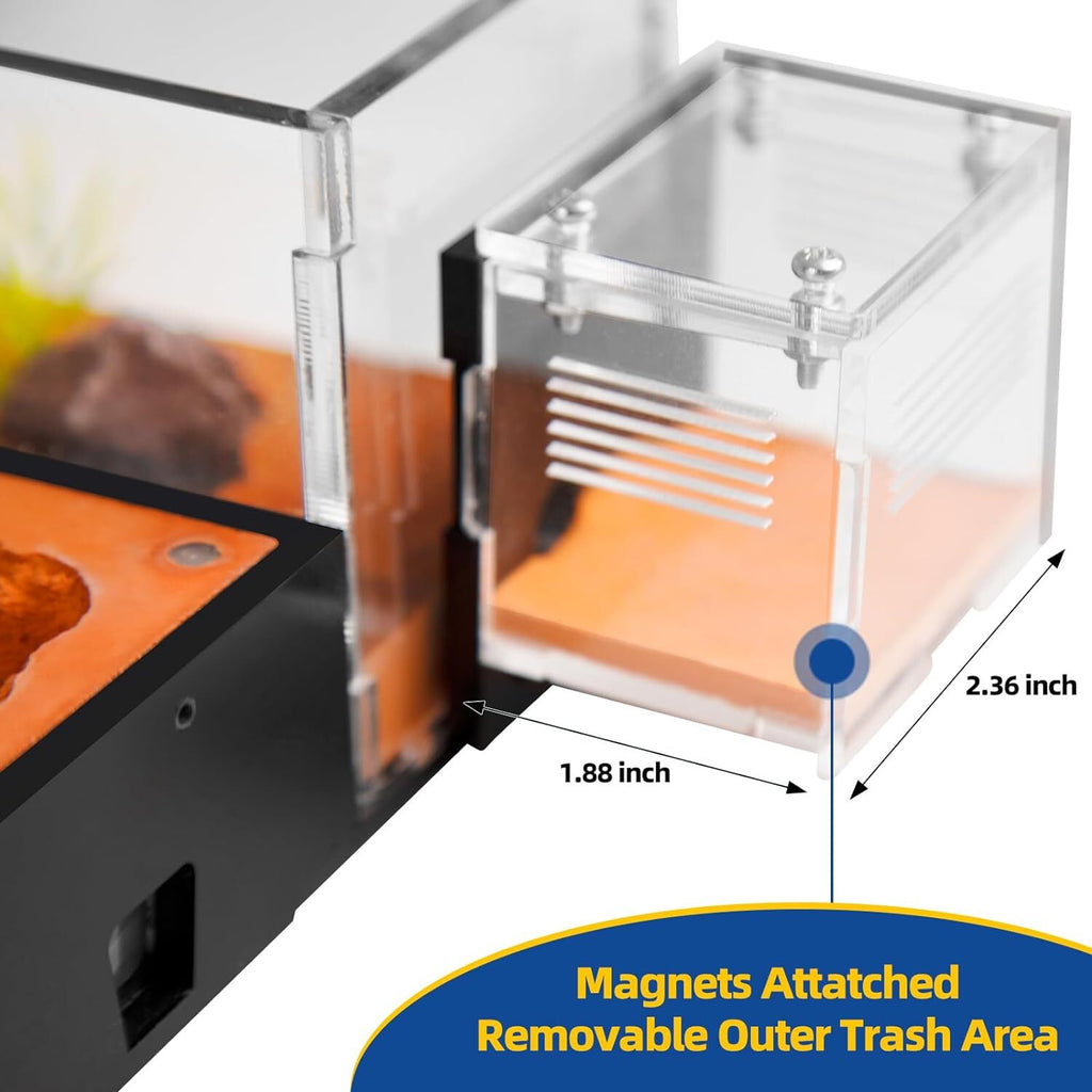 Ant Nest Ant House for ant Farm for Adults Study of Ant Behavior Ant Terrarium