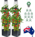 2 Packs Raised Garden Bed Tomato Planter Tomato Cages Climbing Vegetables Plant