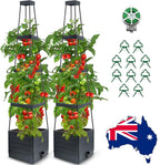 2 Packs Raised Garden Bed Tomato Planter Tomato Cages Climbing Vegetables Plant