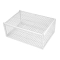 Birds Cage Small Animals Catch Trap Four Sides One Way Entrance Anti-Escape Slot