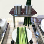 Manual Cucumber Cutter Carrot Stick Maker Commercial Vegetable Slicer for Sushi