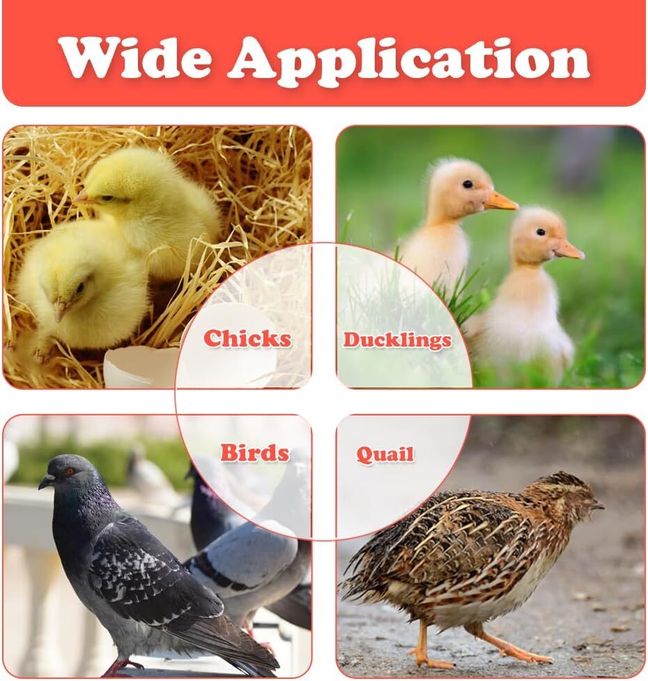Chick Brooder Heating Plate 40*60CM Adjustable Chicken Coop Brooding Heater AU