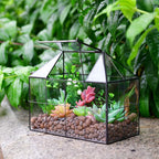 Glass Terrarium House Planter – Succulent Plant Glass Greenhouse with Lid AU