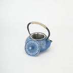 900ml Cast Iron Kettle Teapot Tea Pot Infuser Strainer Black Japanese Style
