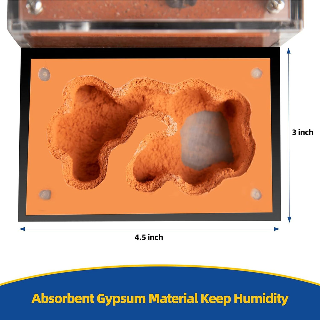 Ant Nest Ant House for ant Farm for Adults Study of Ant Behavior Ant Terrarium
