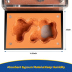 Ant Nest Ant House for ant Farm for Adults Study of Ant Behavior Ant Terrarium