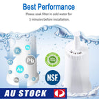 2X Water Filter Replacement For Breville Oracle Barista BES008 BES880 BES920 NEW