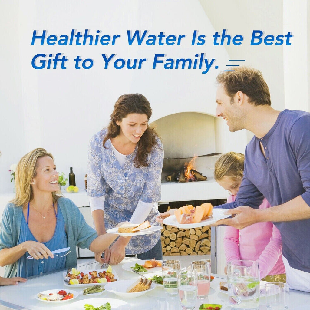 Fisher Paykel 836848 Compatible Ice & Water Fridge Filter, NSF Certified, Easy Installation