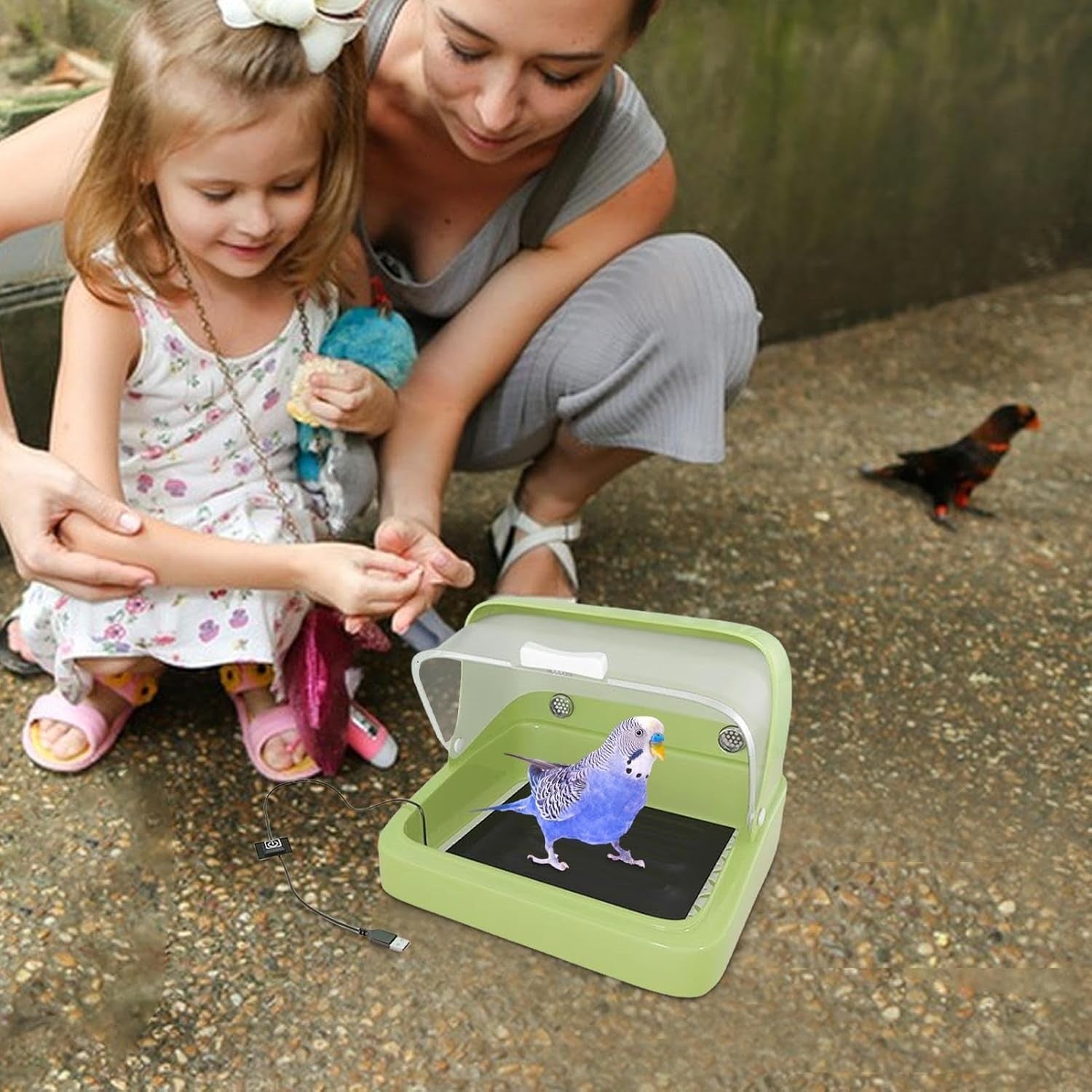 Bird Incubator Warmer Baby Chick Brooder Three-Speed Heat Plate Poultry Habitat