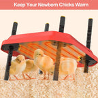 Chick Brooder Heating Plate 40*60CM Adjustable Chicken Coop Brooding Heater AU