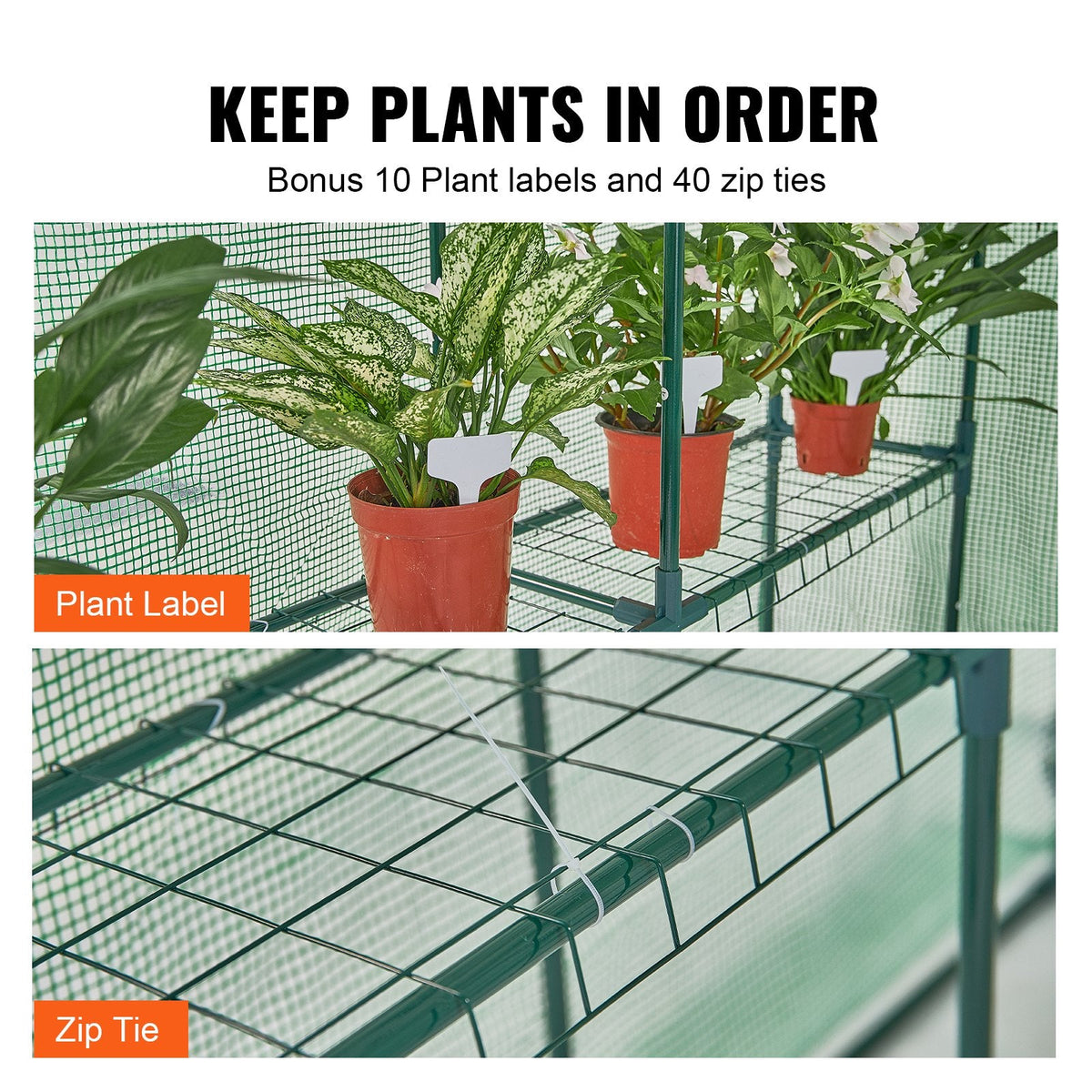 Walk-in Green House, 4.6 x 4.6 x 6.6 ft Greenhouse with Shelves, Set Up